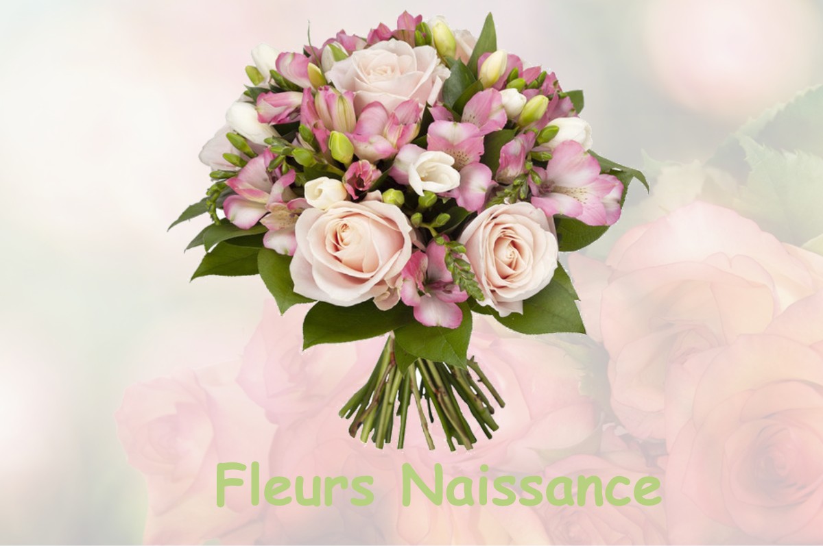 fleurs naissance CHAMBORNAY-LES-BELLEVAUX